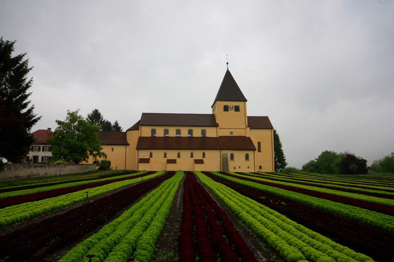 Reichenau