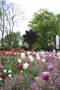 Mainau