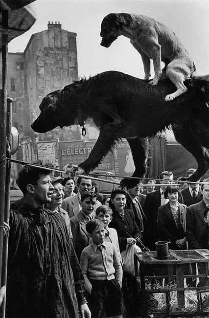 Rue Mouffetard, 1953 - Marc Riboud